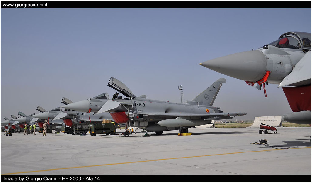 anatolian eagle 2014 image 159