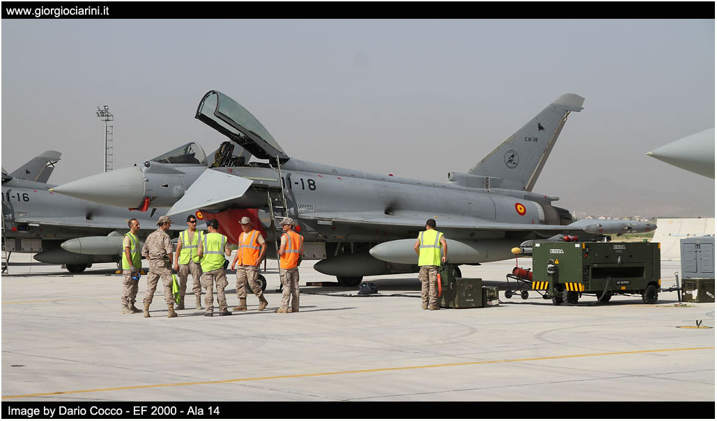 anatolian eagle 2014 image 161