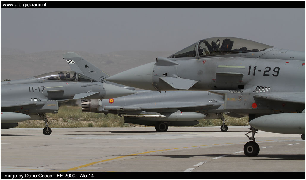 anatolian eagle 2014 image 162