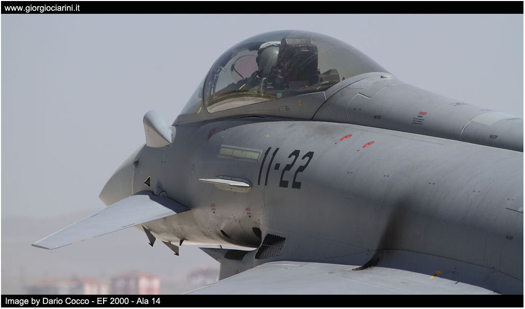 anatolian eagle 2014 image 163