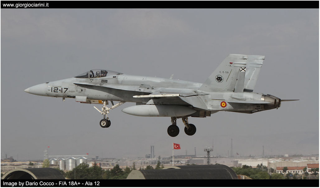 anatolian eagle 2014 image 164