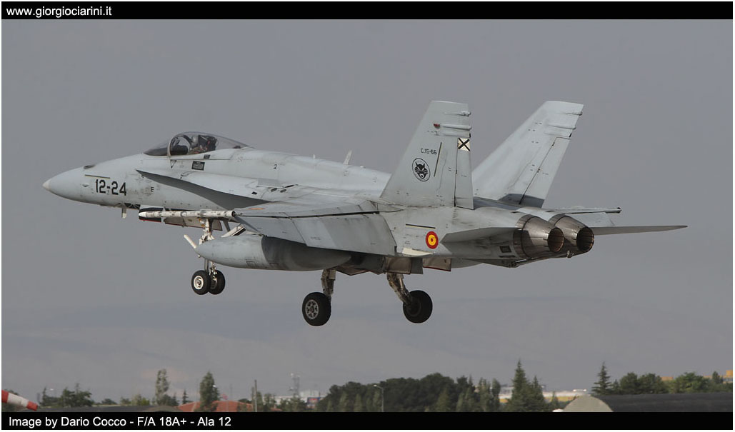 anatolian eagle 2014 image 165