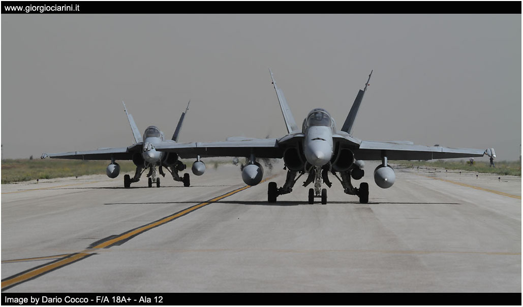 anatolian eagle 2014 image 166