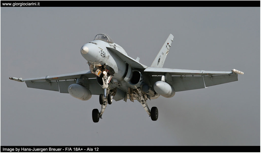 anatolian eagle 2014 image 167