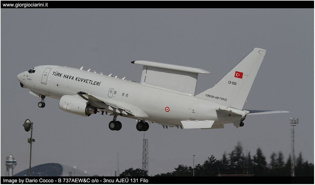 anatolian eagle 2014 image 10