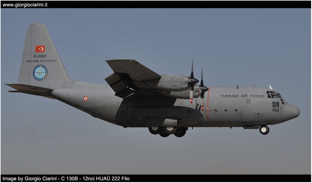 anatolian eagle 2014 image 11