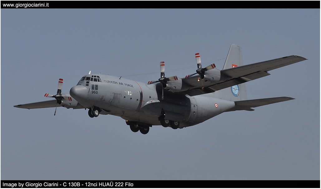 anatolian eagle 2014 image 12