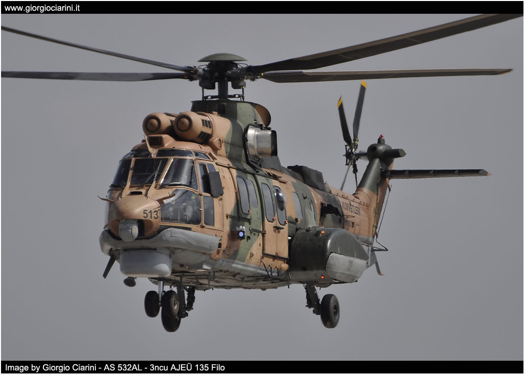 anatolian eagle 2014 image 15