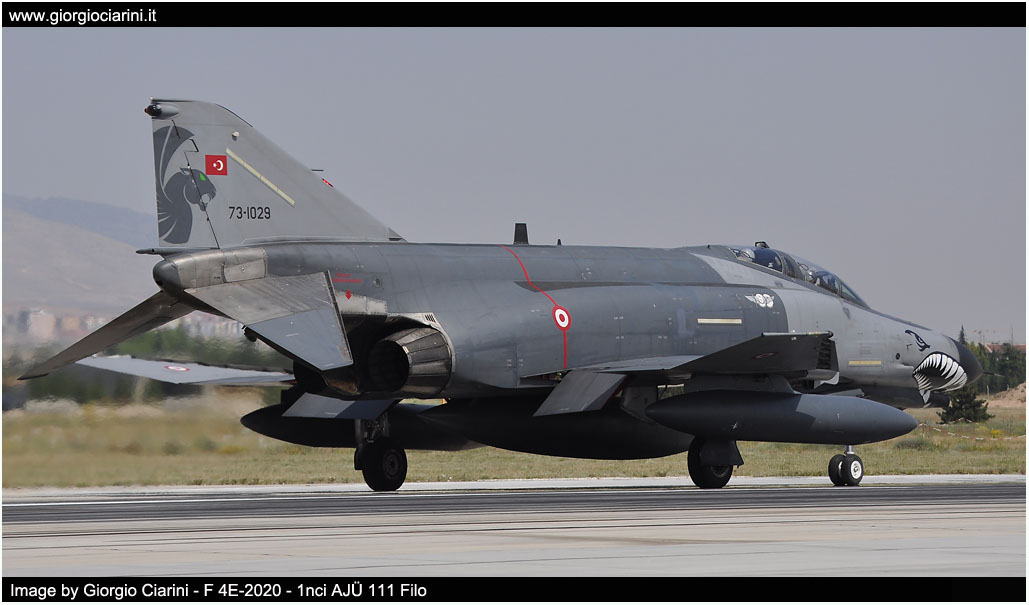 anatolian eagle 2014 image 19