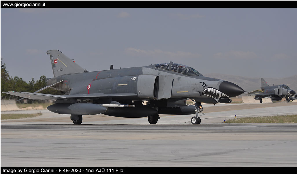 anatolian eagle 2014 image 20