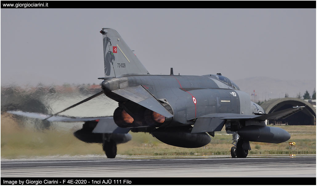 anatolian eagle 2014 image 21