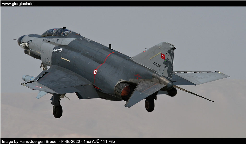 anatolian eagle 2014 image 22