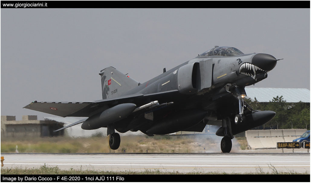 anatolian eagle 2014 image 23