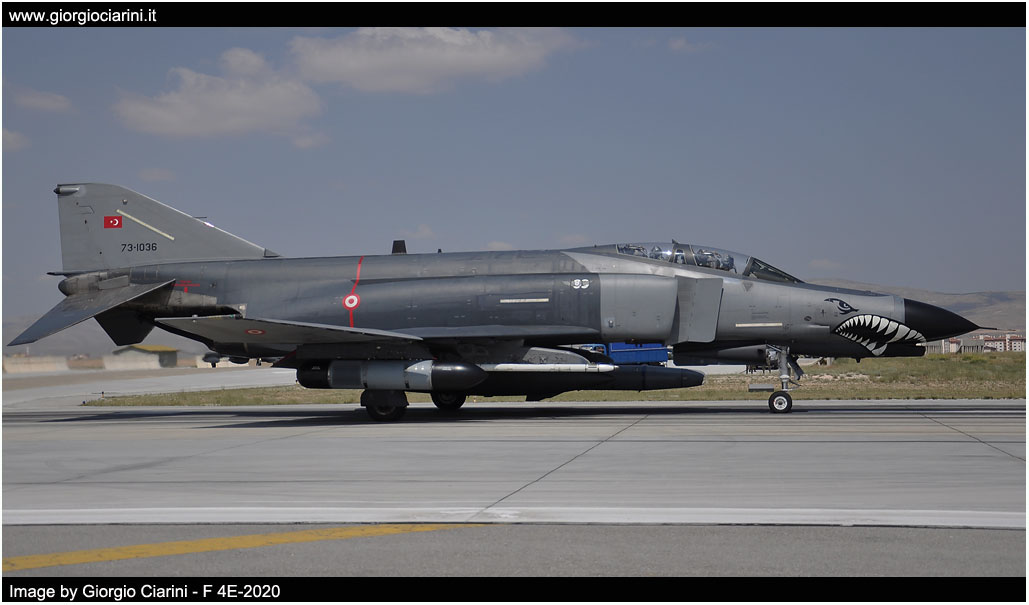 anatolian eagle 2014 image 24