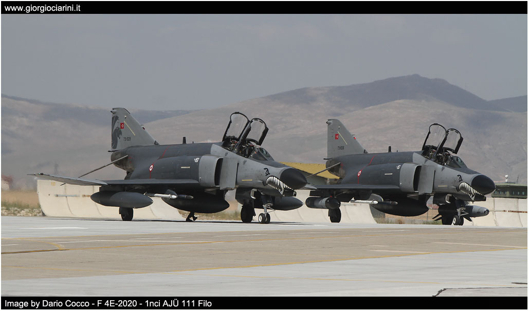 anatolian eagle 2014 image 27