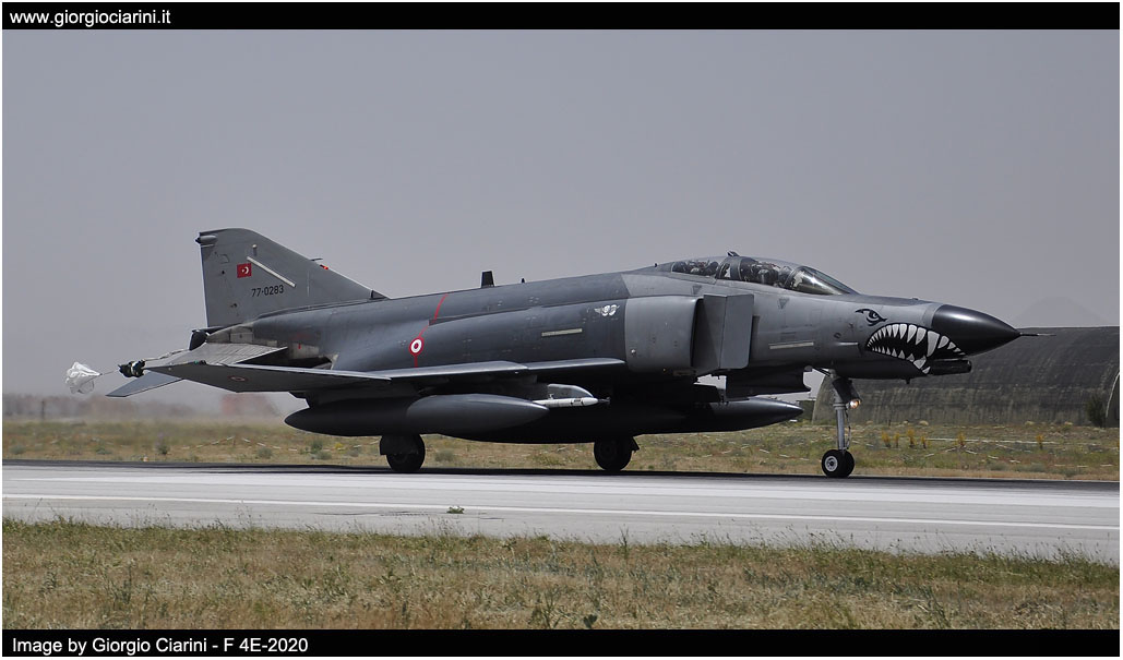 anatolian eagle 2014 image 28