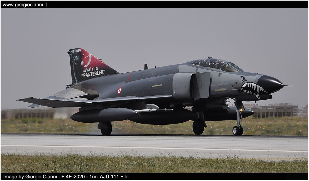 anatolian eagle 2014 image 29