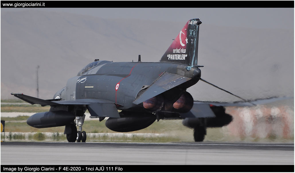 anatolian eagle 2014 image 30