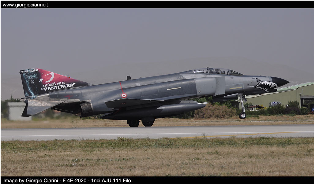 anatolian eagle 2014 image 31