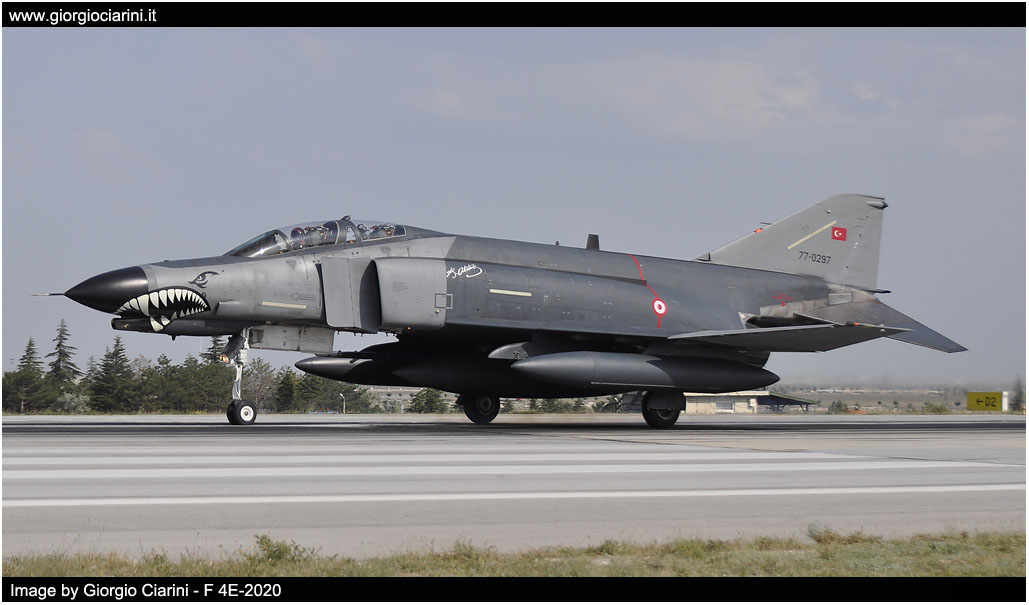 anatolian eagle 2014 image 33