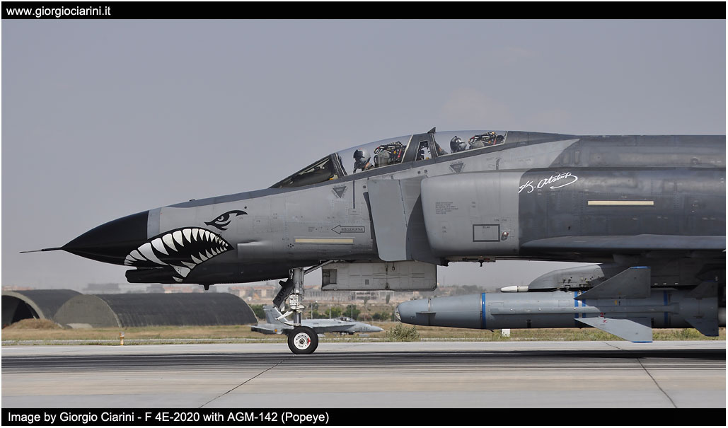 anatolian eagle 2014 image 36