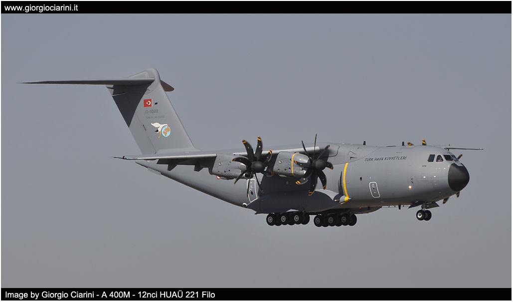 anatolian eagle 2014 image 7