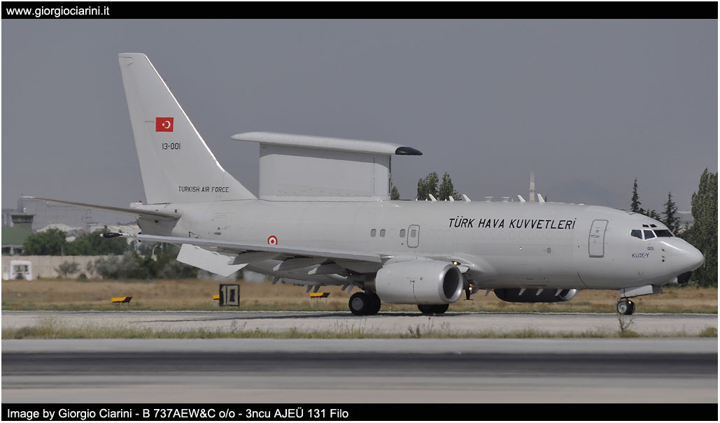 anatolian eagle 2014 image 9