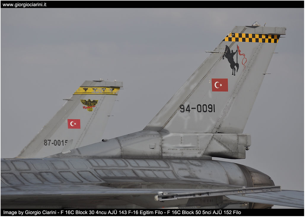 anatolian eagle 2014 image 59