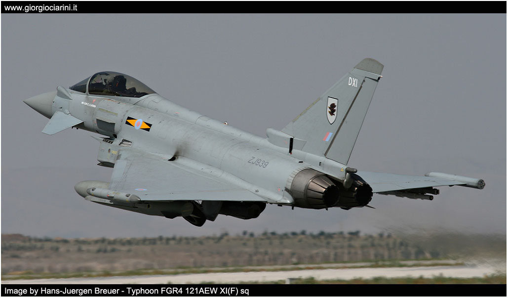 anatolian eagle 2014 image 174