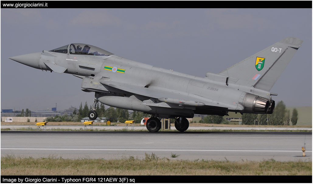 anatolian eagle 2014 image 181