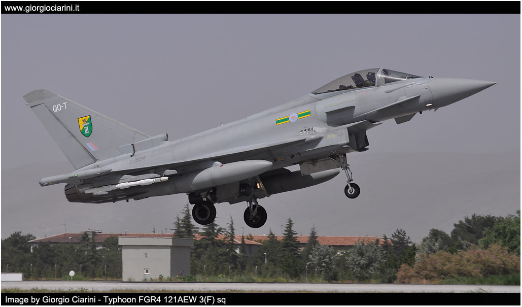 anatolian eagle 2014 image 185