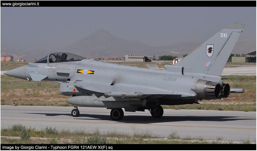 anatolian eagle 2014 image 188