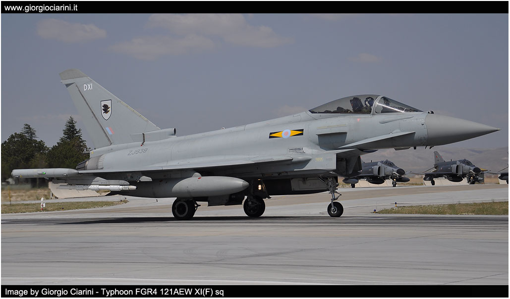 anatolian eagle 2014 image 190