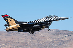 Anatolian Eagle 2025 image 107