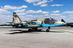 Anatolian Eagle 2025 image 2