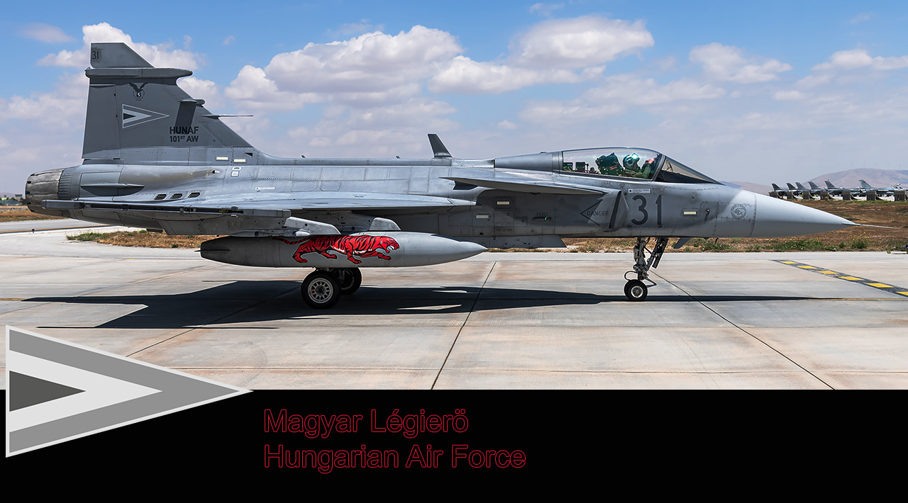 Anatolian Eagle 2025 image 20