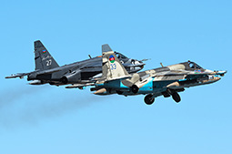 Anatolian Eagle 2025 image 3