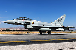 Anatolian Eagle 2025 image 32