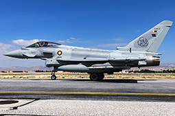 Anatolian Eagle 2025 image 33