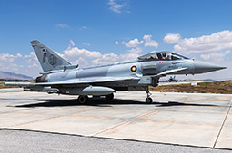 Anatolian Eagle 2025 image 34