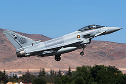 Anatolian Eagle 2025 image 35