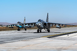 Anatolian Eagle 2025 image 5