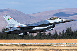 Anatolian Eagle 2025 image 51