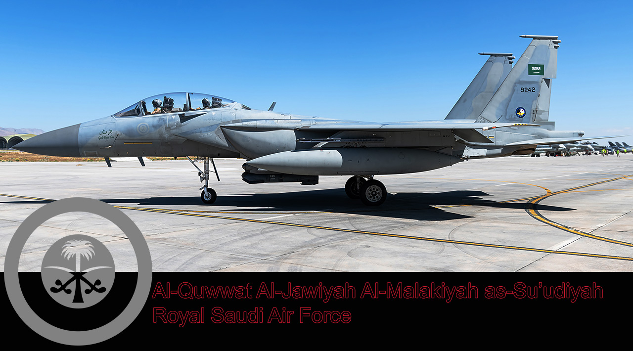 Anatolian Eagle 2025 image 60