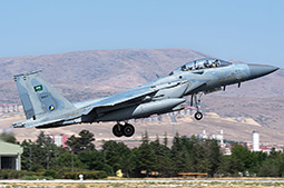 Anatolian Eagle 2025 image 62