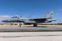 Anatolian Eagle 2025 image 63