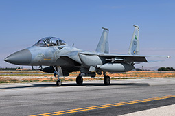 Anatolian Eagle 2025 image 66