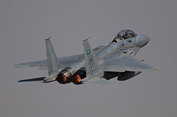 Anatolian Eagle 2025 image 71