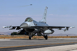 Anatolian Eagle 2025 image 81