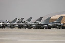 Anatolian Eagle 2025 image 87